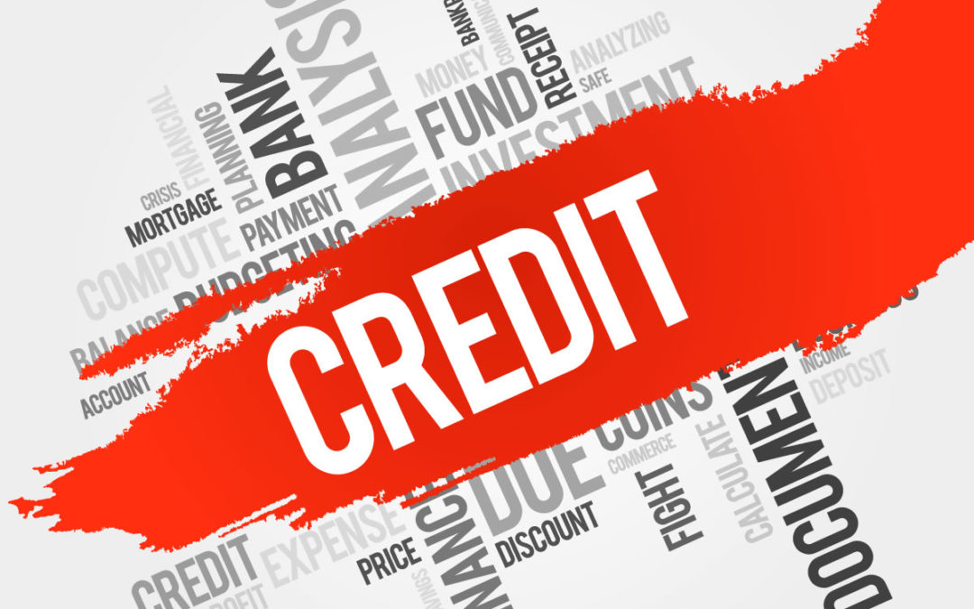 3 Important Questions to Ask About Employment Credit Reports