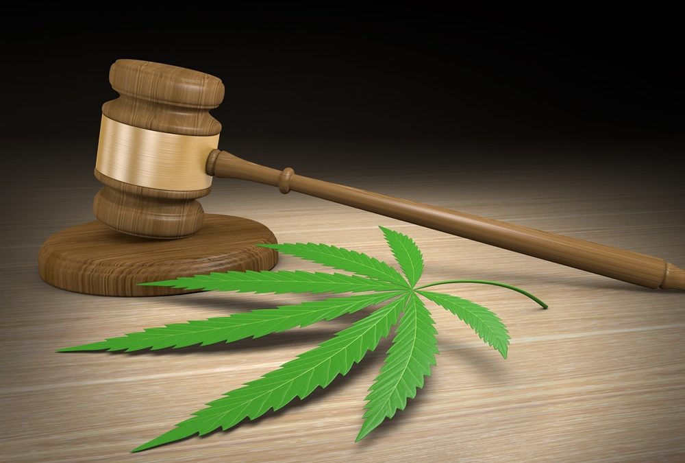 New Marijuana Laws Mean Updates to Drug and Alcohol Policies